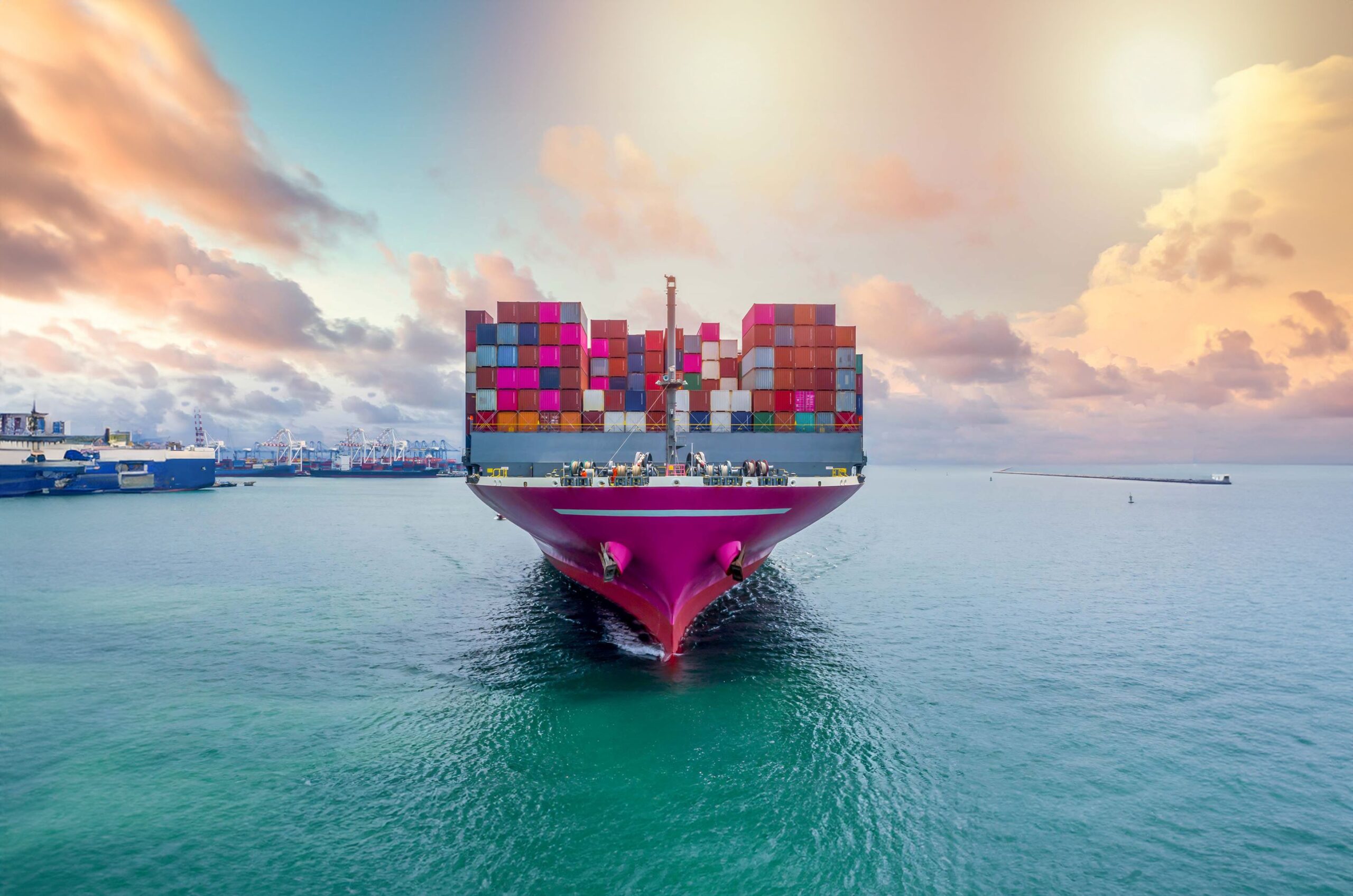 Export customs clearance and transit services